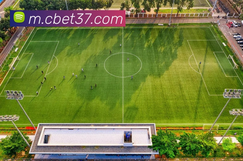 奖项图3